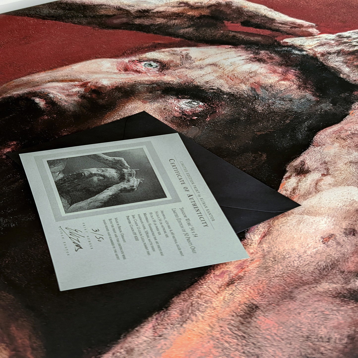 SHADOW WORK (Limited Edition of 50)