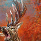 HEIMAT (Limited Edition of 85) Pre-Order