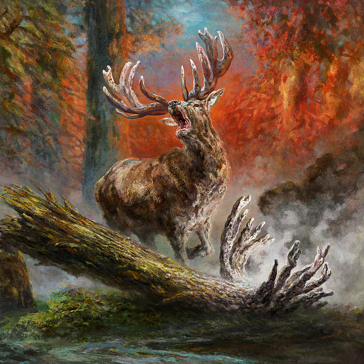 HEIMAT (Limited Edition of 85) Pre-Order
